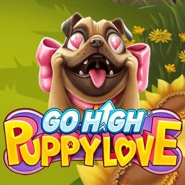 Go High Puppy Love logo by RubyPlay at WinRolla Casino