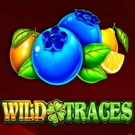Official Slots logo: Wild Traces by Amusnet Interactive at WinRolla Casino